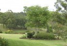 Darraweit Guimresidential-landscaping-40.jpg; ?>